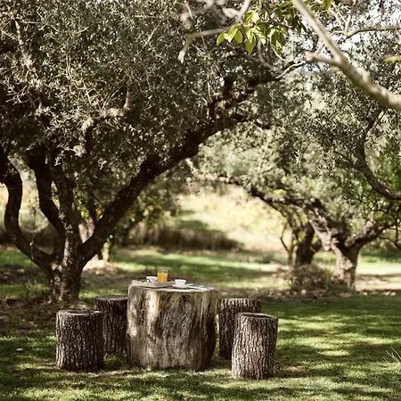 Villa Hora Ionica Villa, 10acre Of Endless Green, By Thinkvilla *